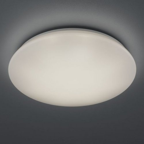 Стельовий світильник TRIO POTZ R62603001 alt 1