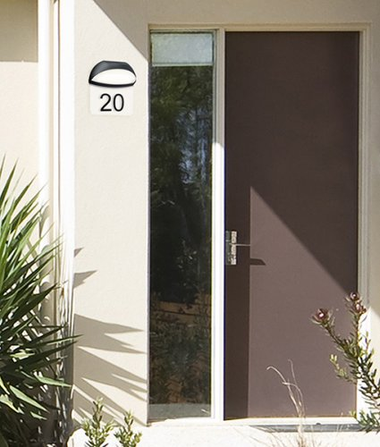 Вуличний світильник TRIO 228360142 MUGA alt 1