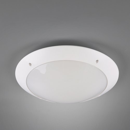 Вуличний світильник TRIO CAMARO R60502031 alt 1