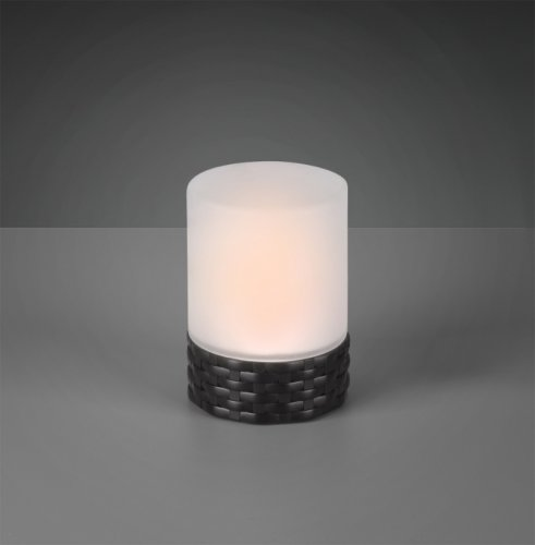 Вуличний світильник TRIO PARRAL R55166132 alt 1