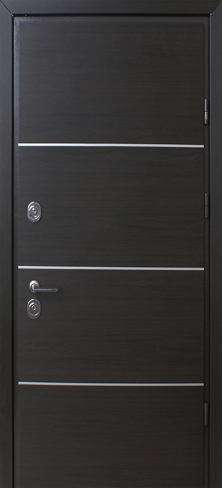 Вхідні двері Страж Standard SDW Party D