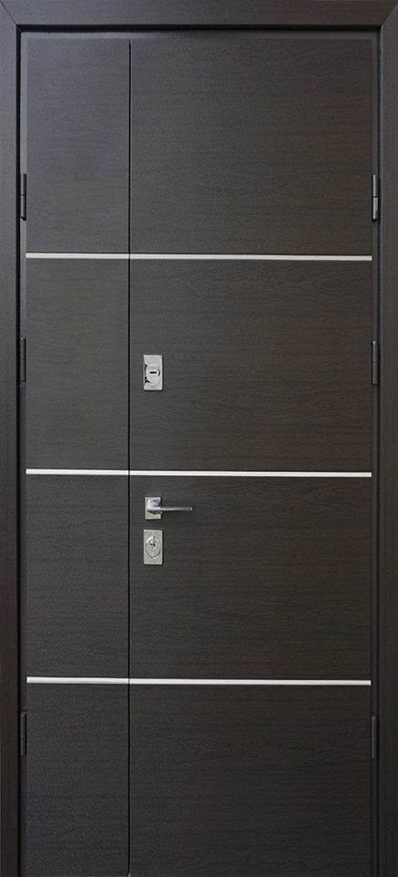 Вхідні двері Страж Standard SDW Party D