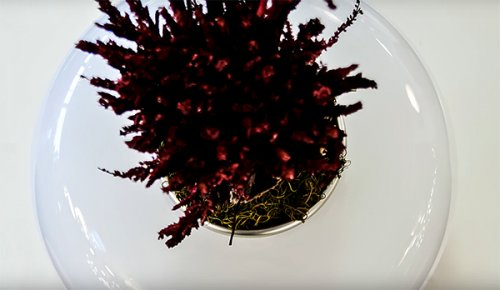 Настільна лампа AZzardo FLORA AZ0185 alt 3