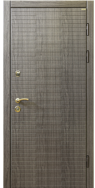 Вхідні двері Conex Модель GEO14