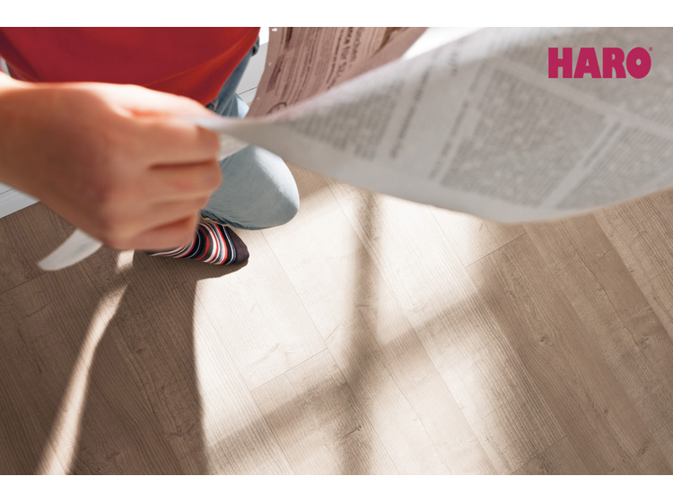 Ламинат Haro Tritty 100 Вяз кремовый 530321 alt 1